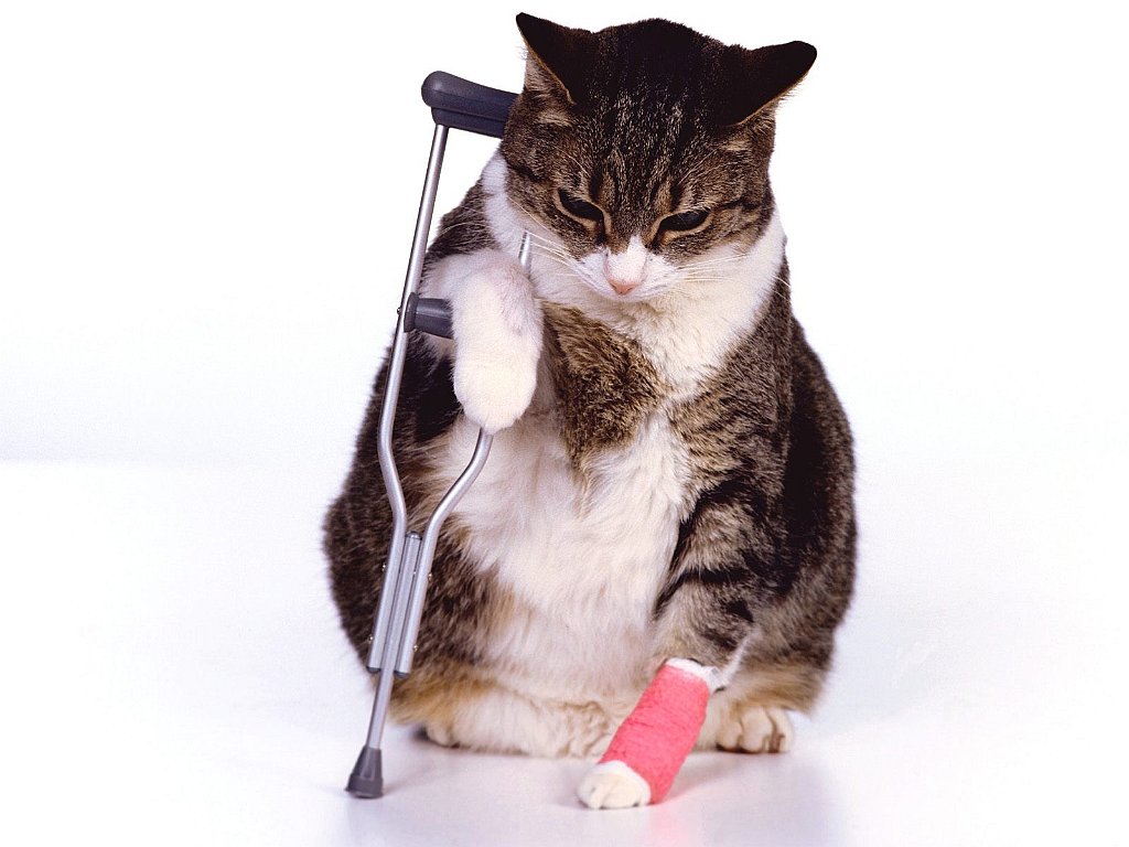 On the Mend